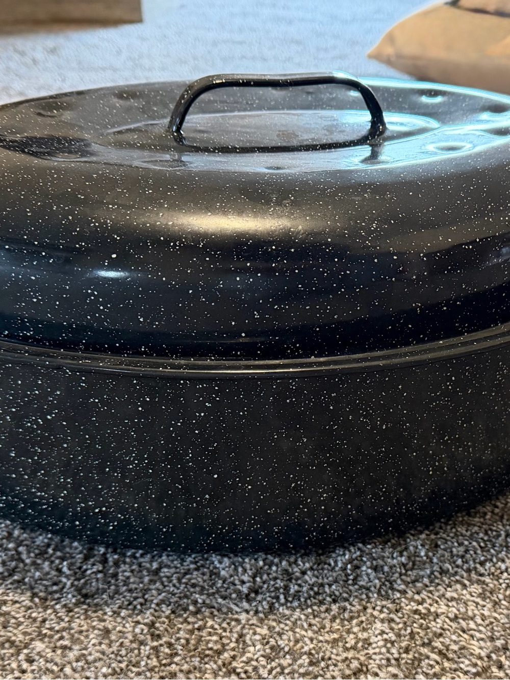 Speckled Black Enamel Roasting Pan with Lid